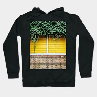 Yellow Window Roller Shutter Hoodie